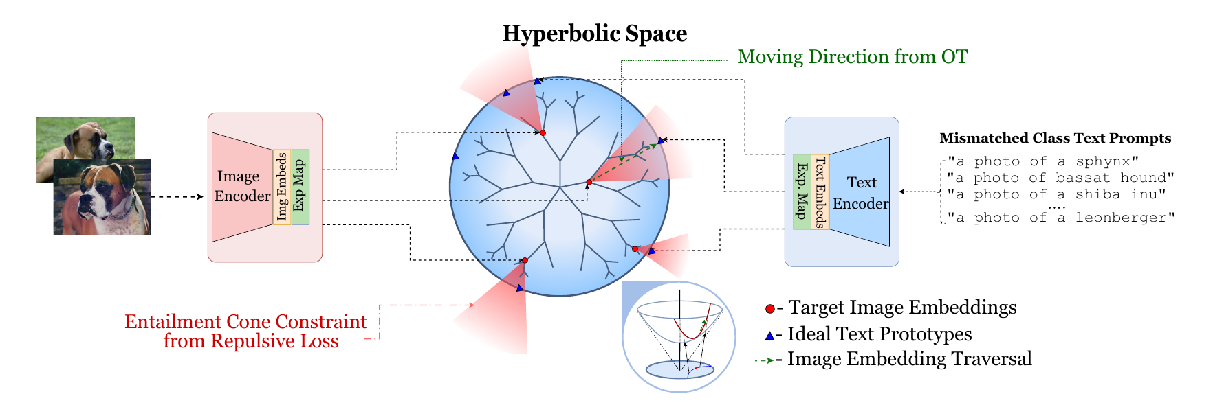 DIET pipeline showing image embeddings transported through hyperbolic space toward mismatched text prototypes selected by optimal transport.